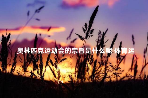 奥林匹克运动会的宗旨是什么呢 体育运动的宗旨是什么